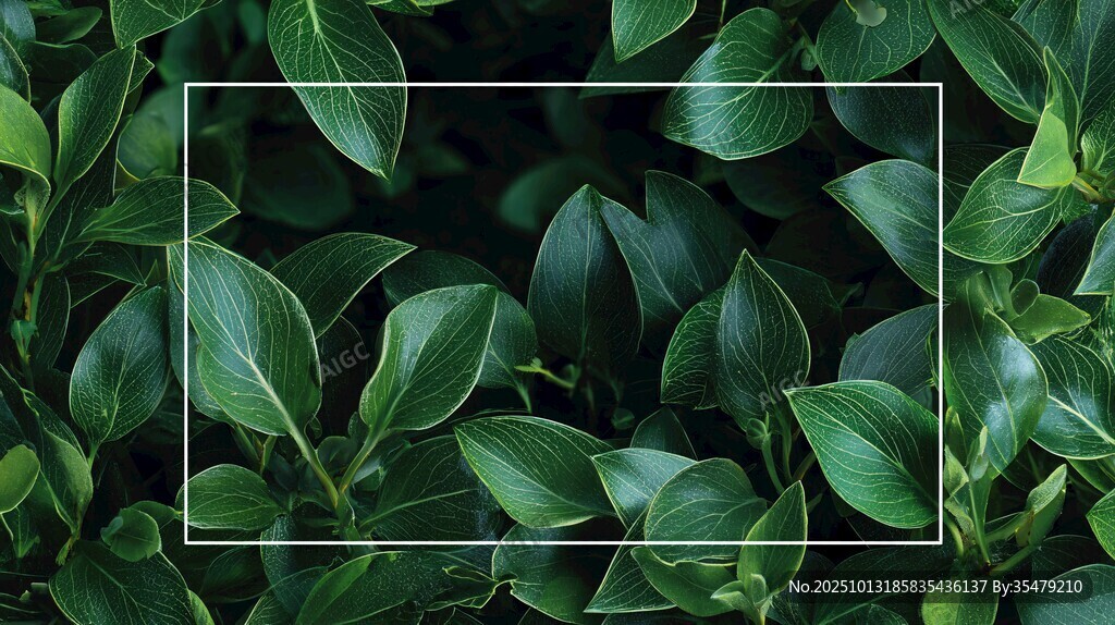 绿叶背景 预留文字空间