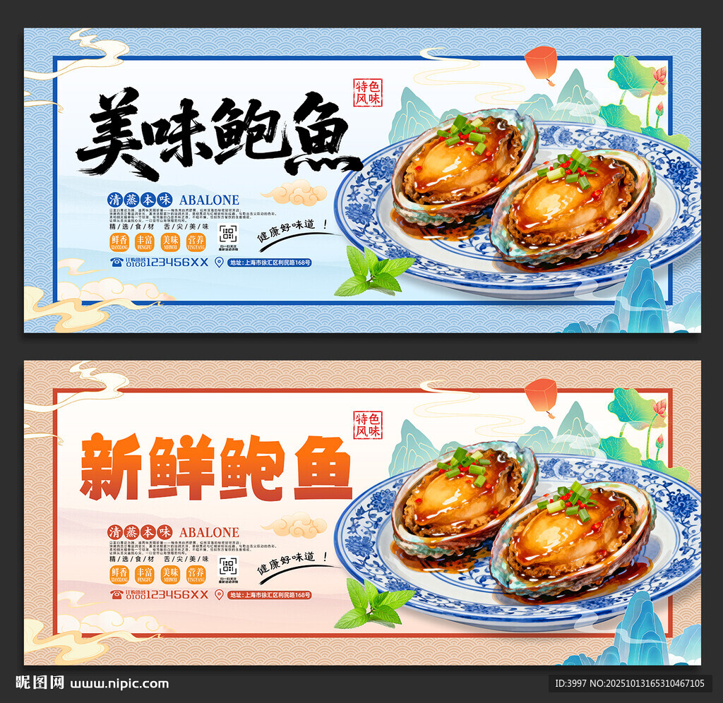 鲍鱼