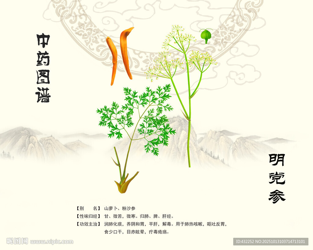 明党参中药党参