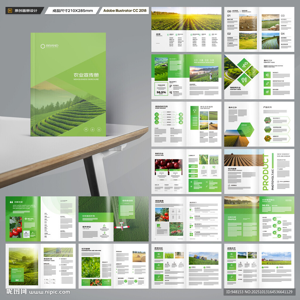 农产品宣传册