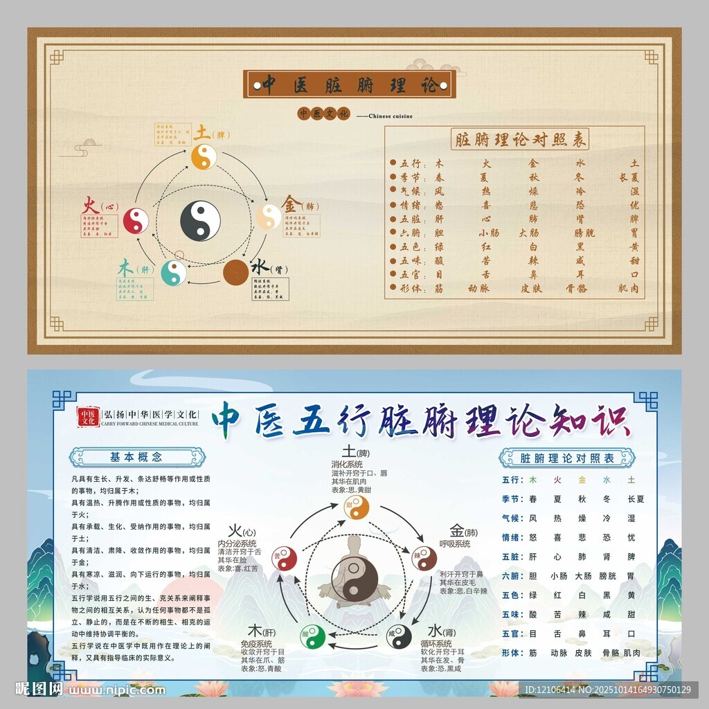 中医五行脏腑理论知识图