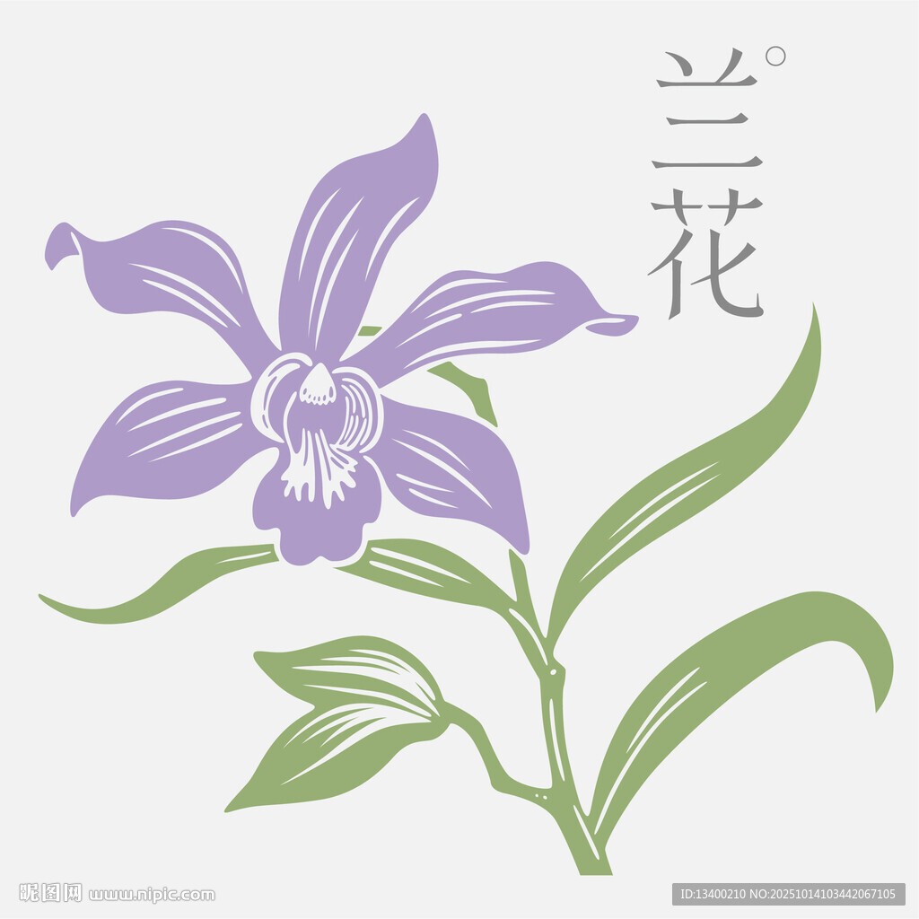 兰花矢量素材