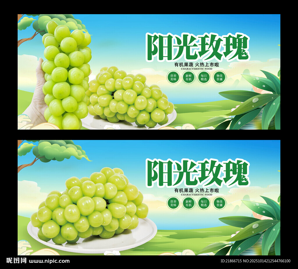 阳光玫瑰