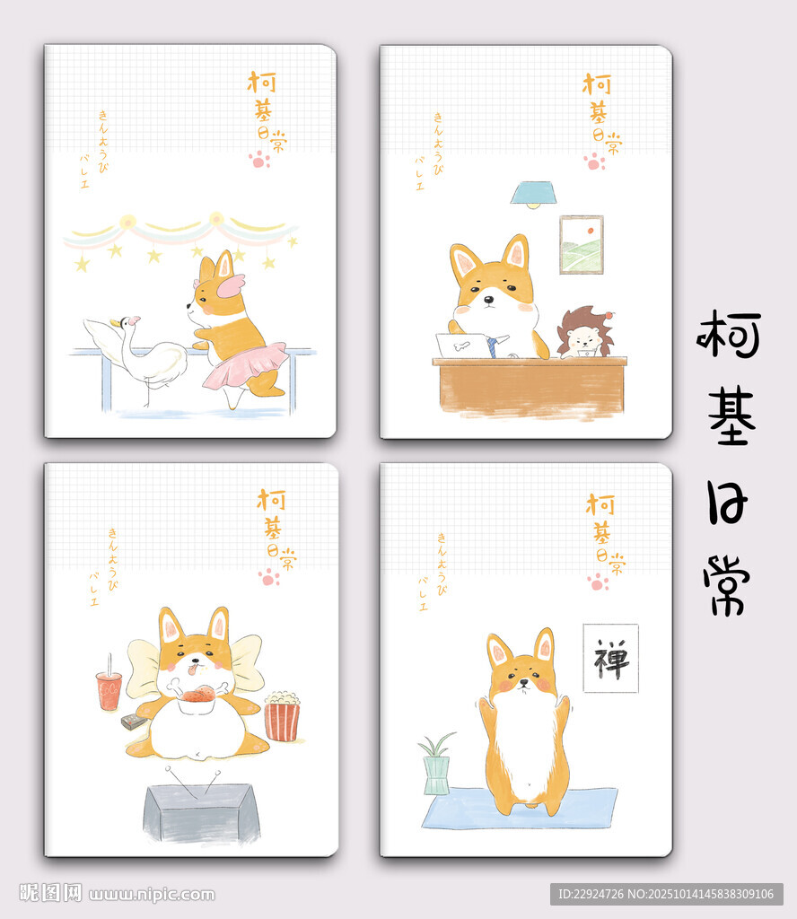 柯基日常