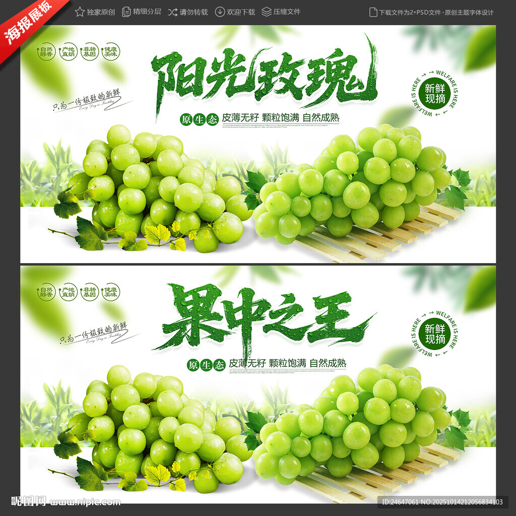 阳光玫瑰