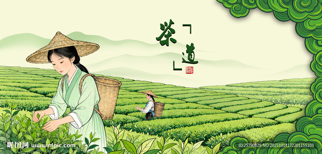 采茶女采春茶