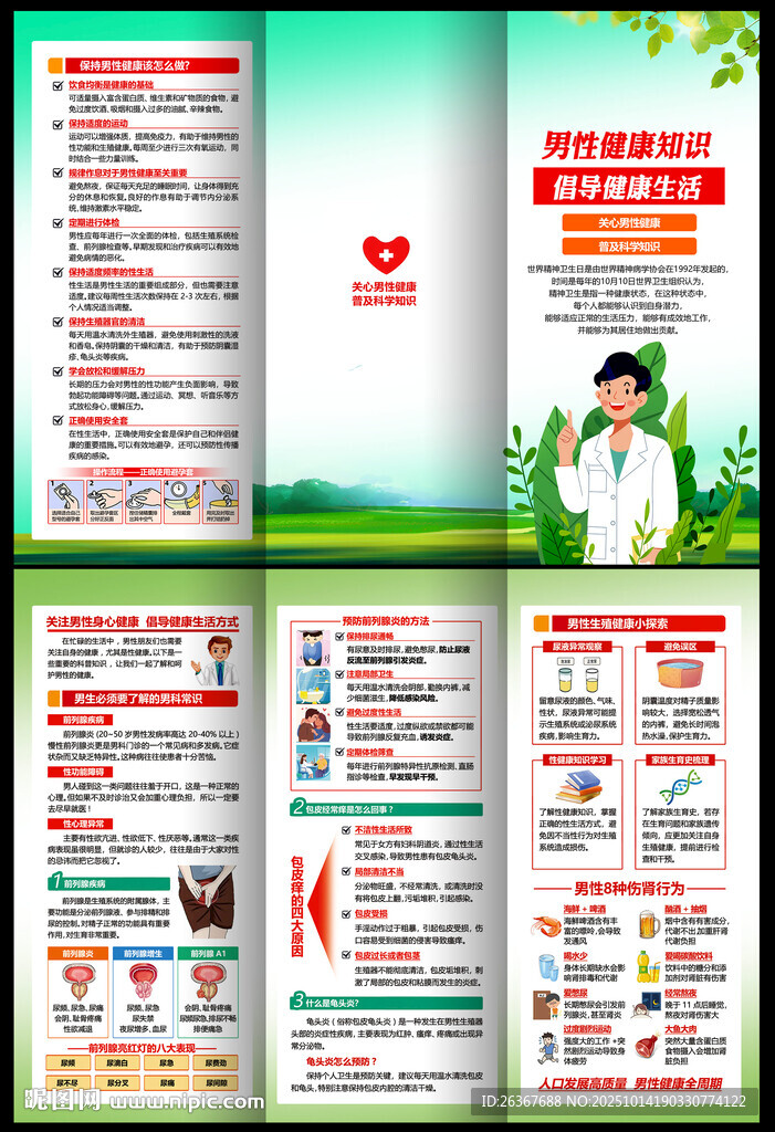 男性健康知识折页