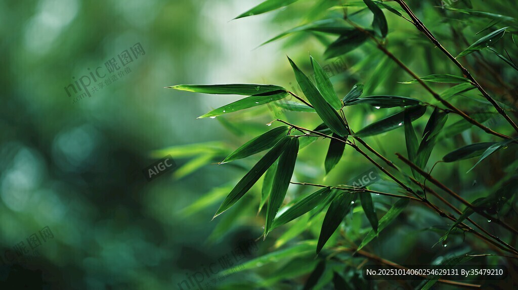 翠绿竹叶特写