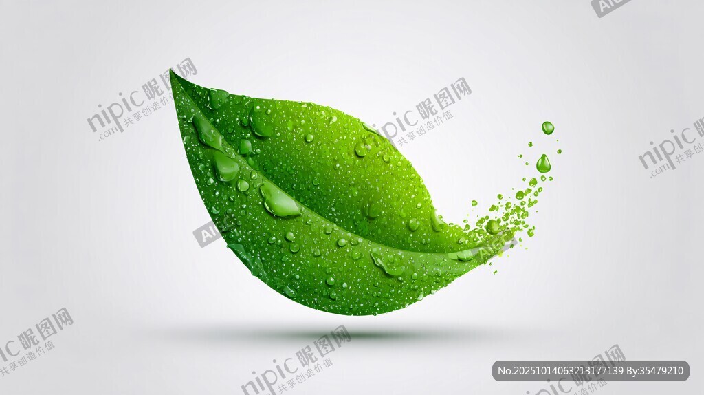 清新绿叶带水珠灵动画面