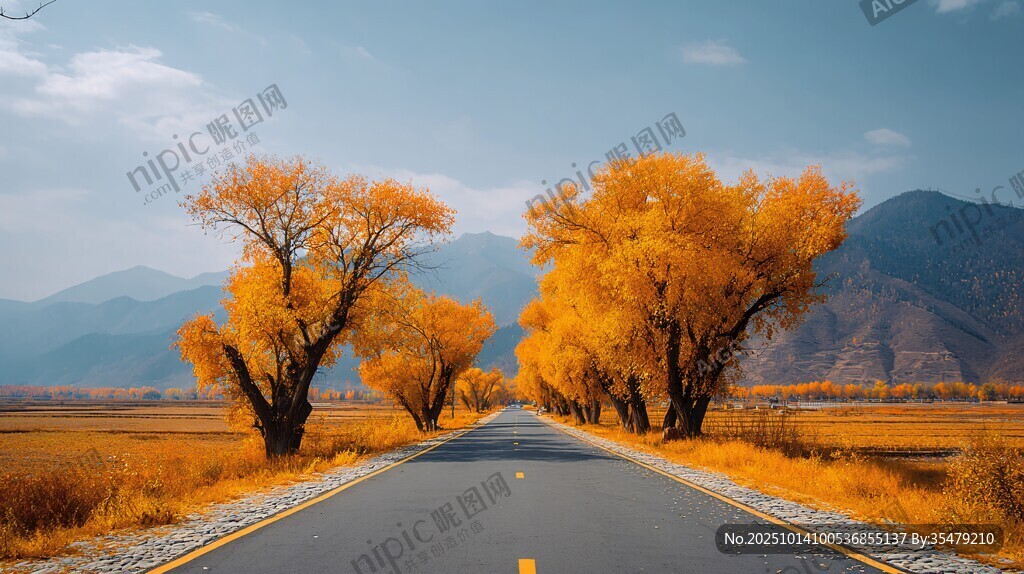 秋日公路美景