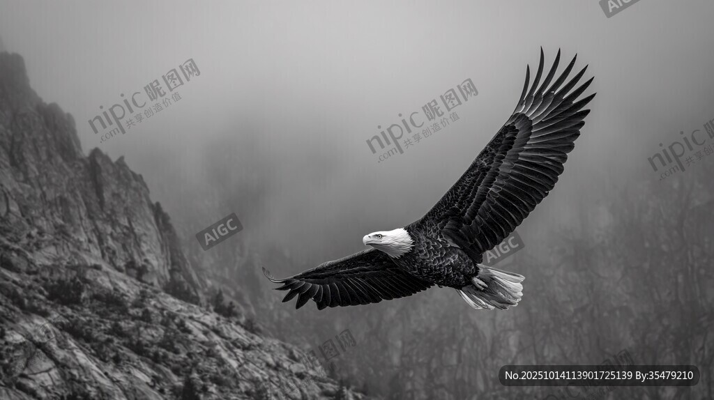 翱翔山间的雄鹰