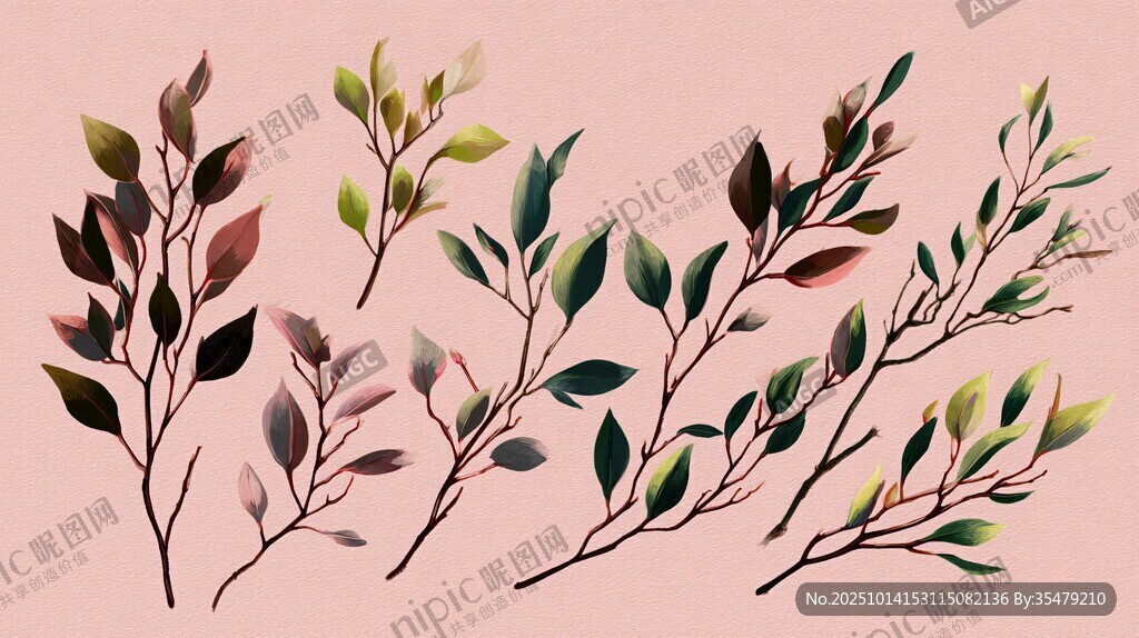 手绘多彩枝叶插画素材