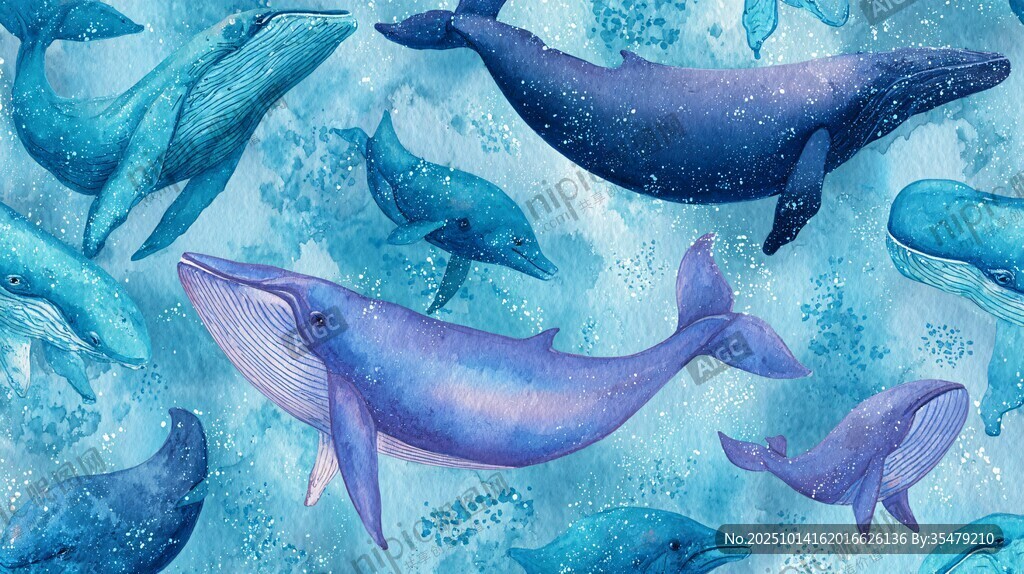 梦幻水彩风海洋鲸鱼图案