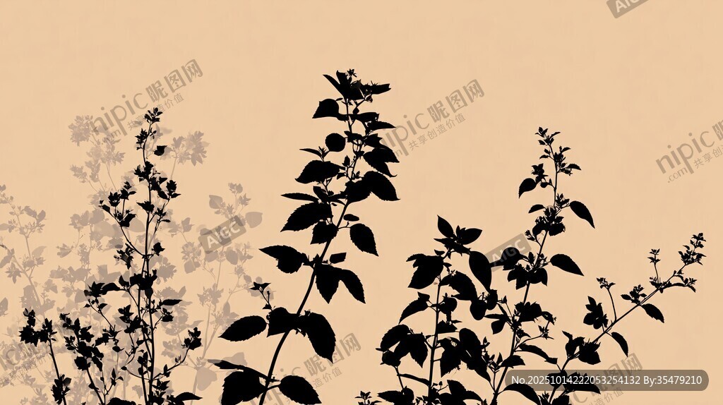 植物剪影 展现自然之美