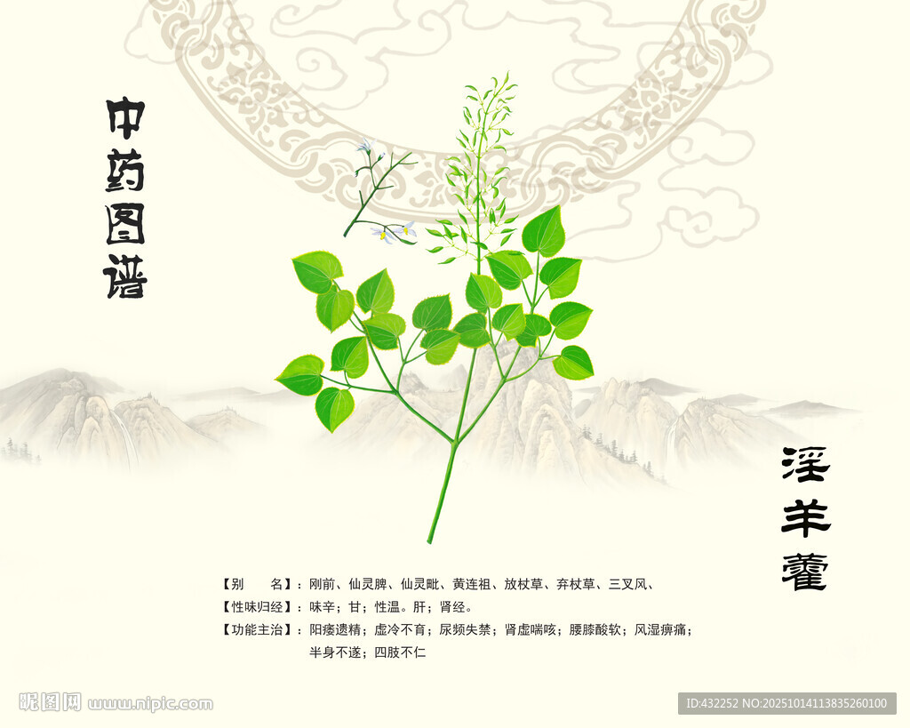 淫羊藿中药淫羊藿