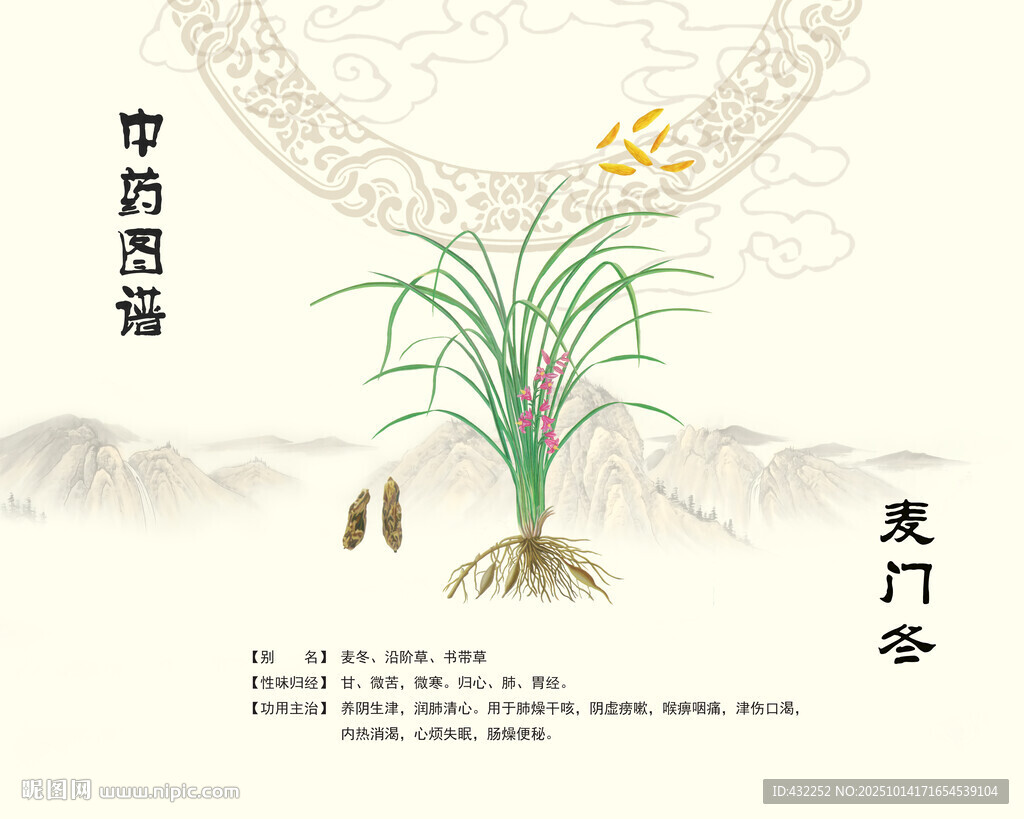 麦门冬中药材麦冬