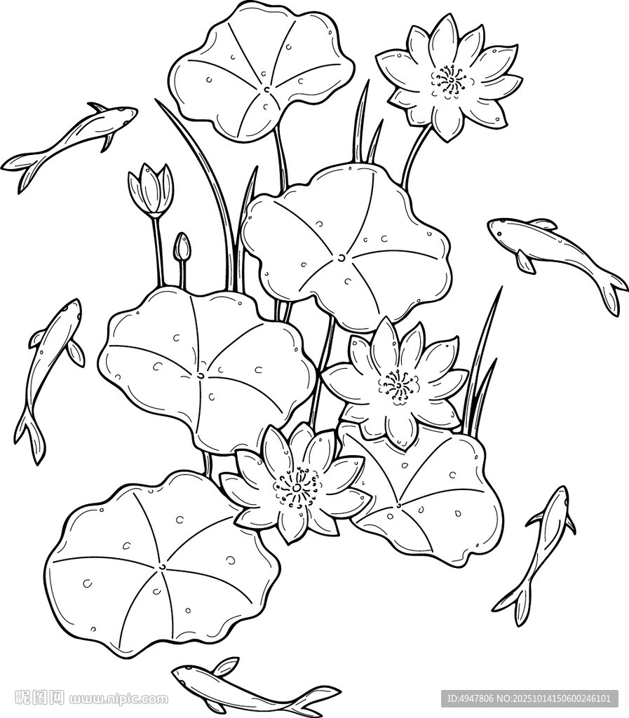荷花游鱼线描图 矢量图