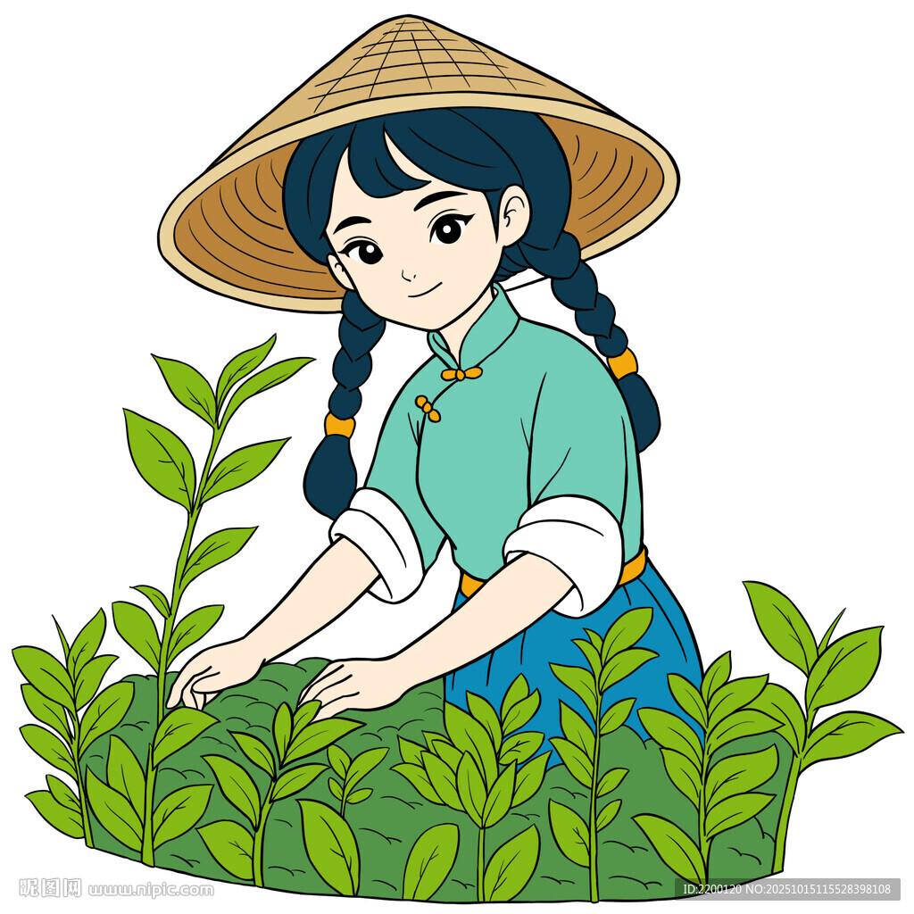 采茶少女于茶园中劳作