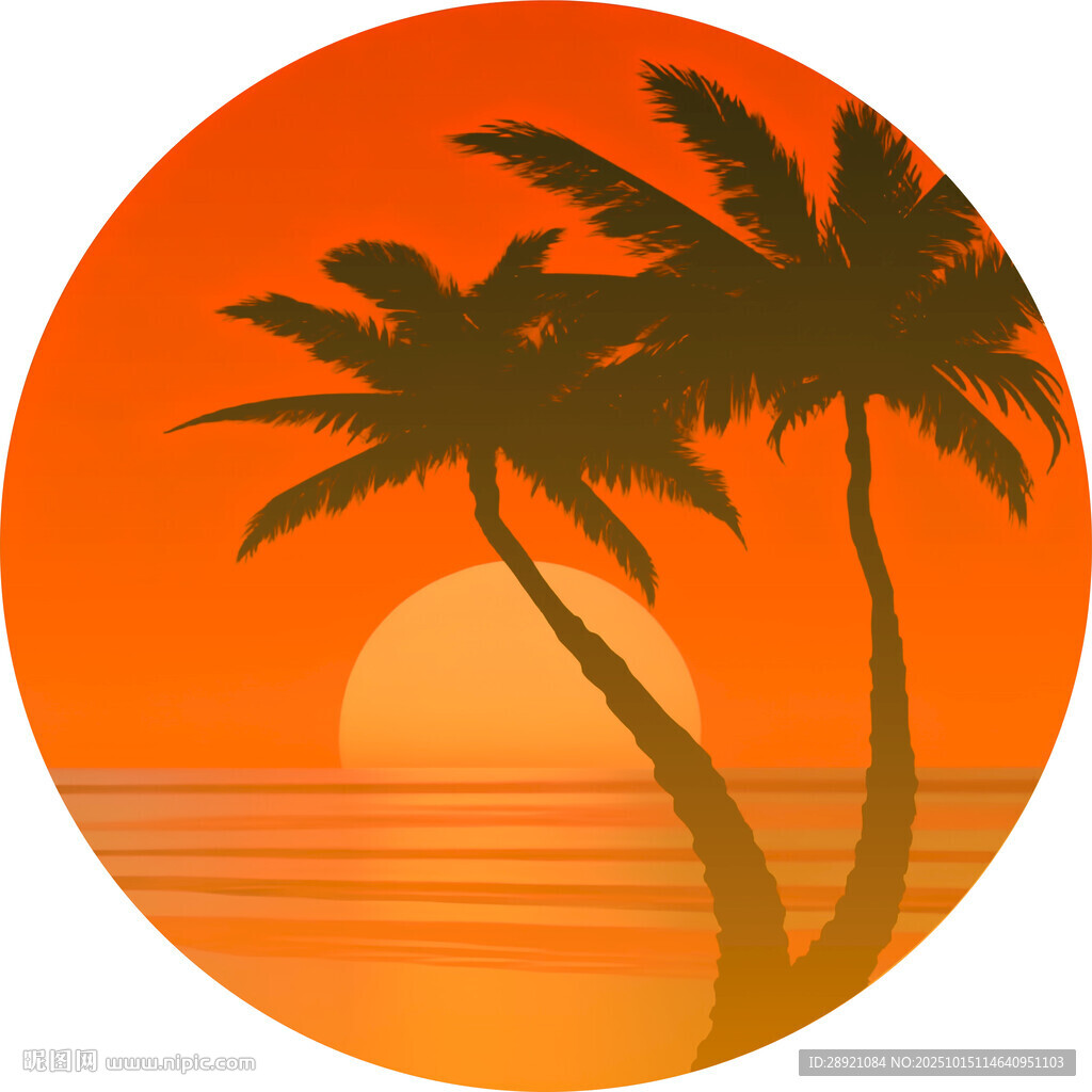 夕阳下的棕榈树海景