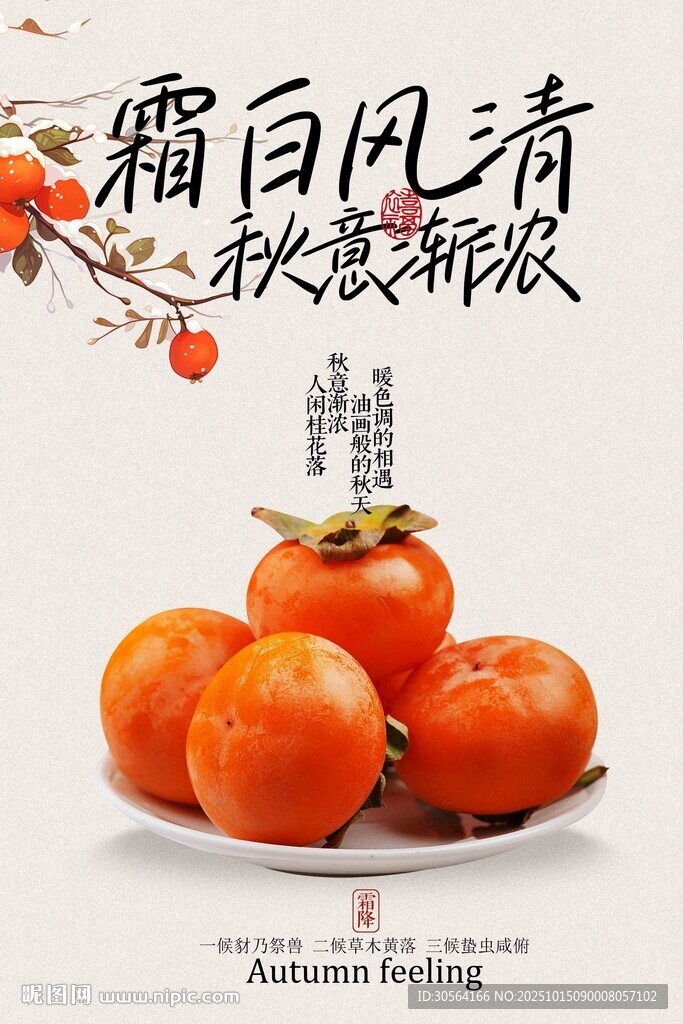 霜降节气传统海报