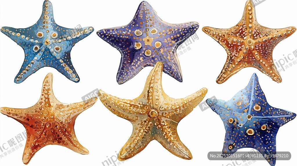 多彩海星插画