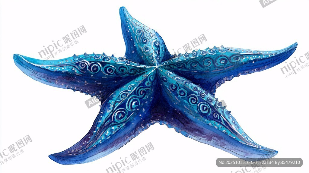 蓝色梦幻海星水彩插画