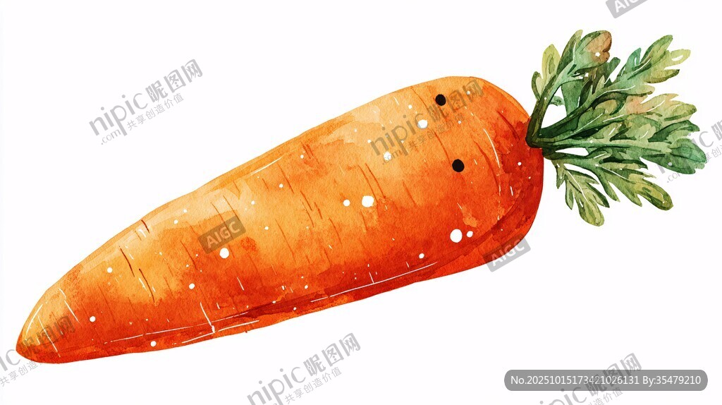 手绘水彩胡萝卜插画