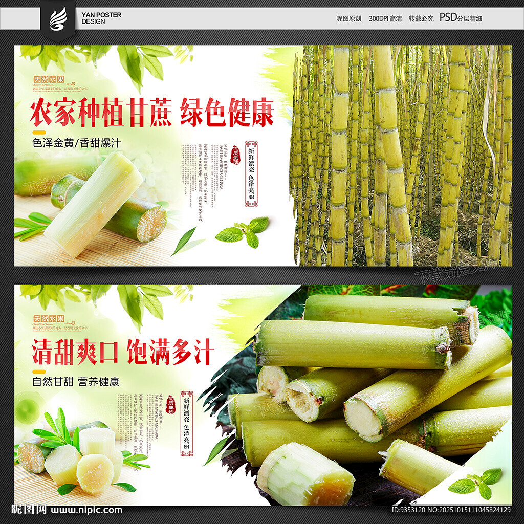 甘蔗