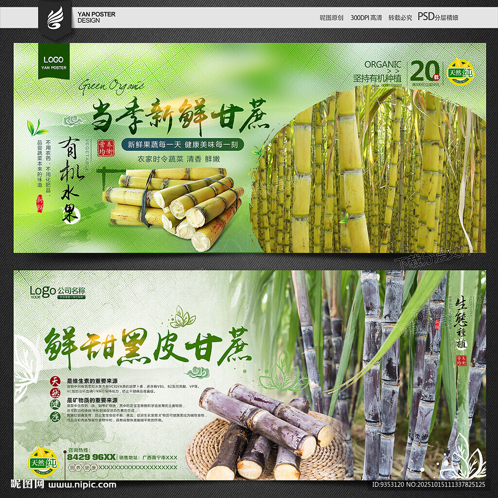 甘蔗