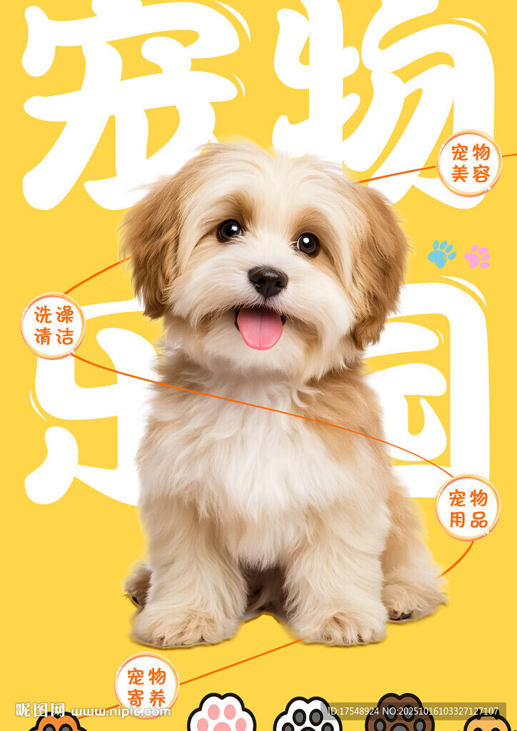 宠物海报
