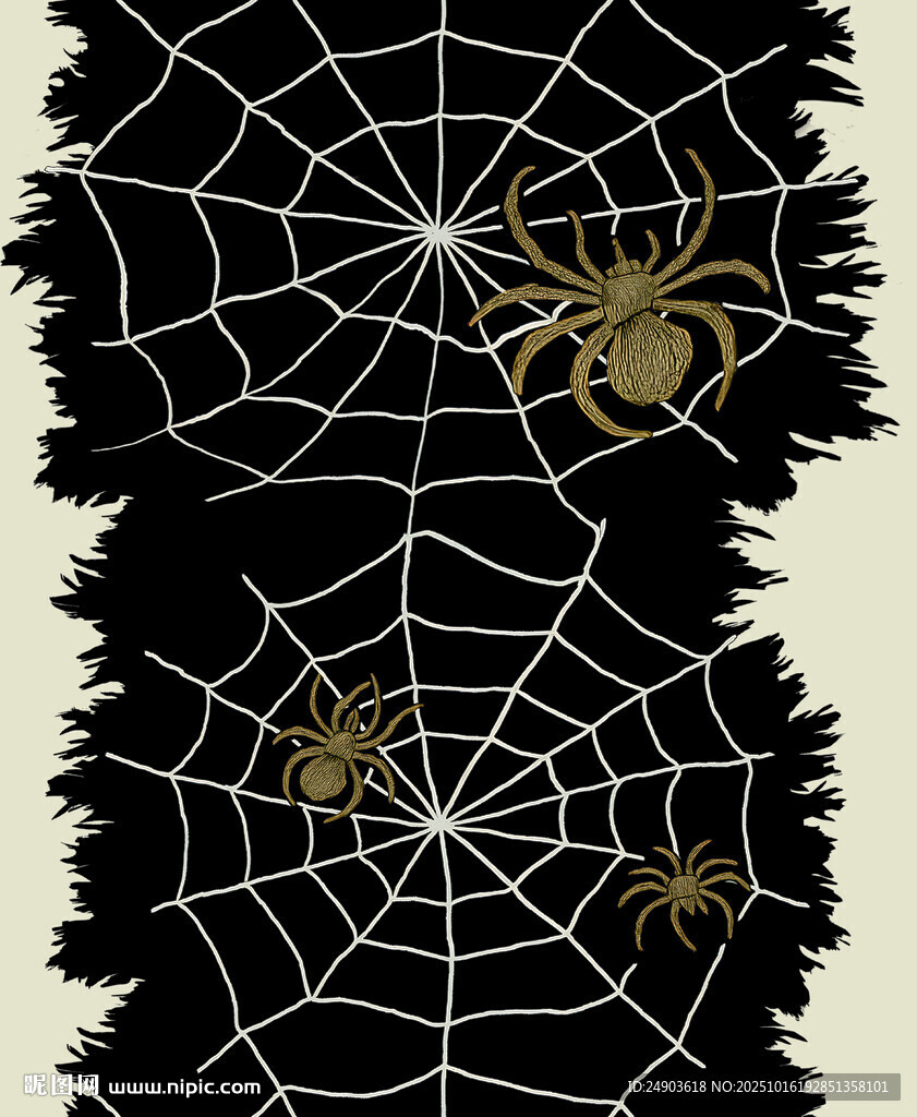 黑底上的蜘蛛与蛛网
