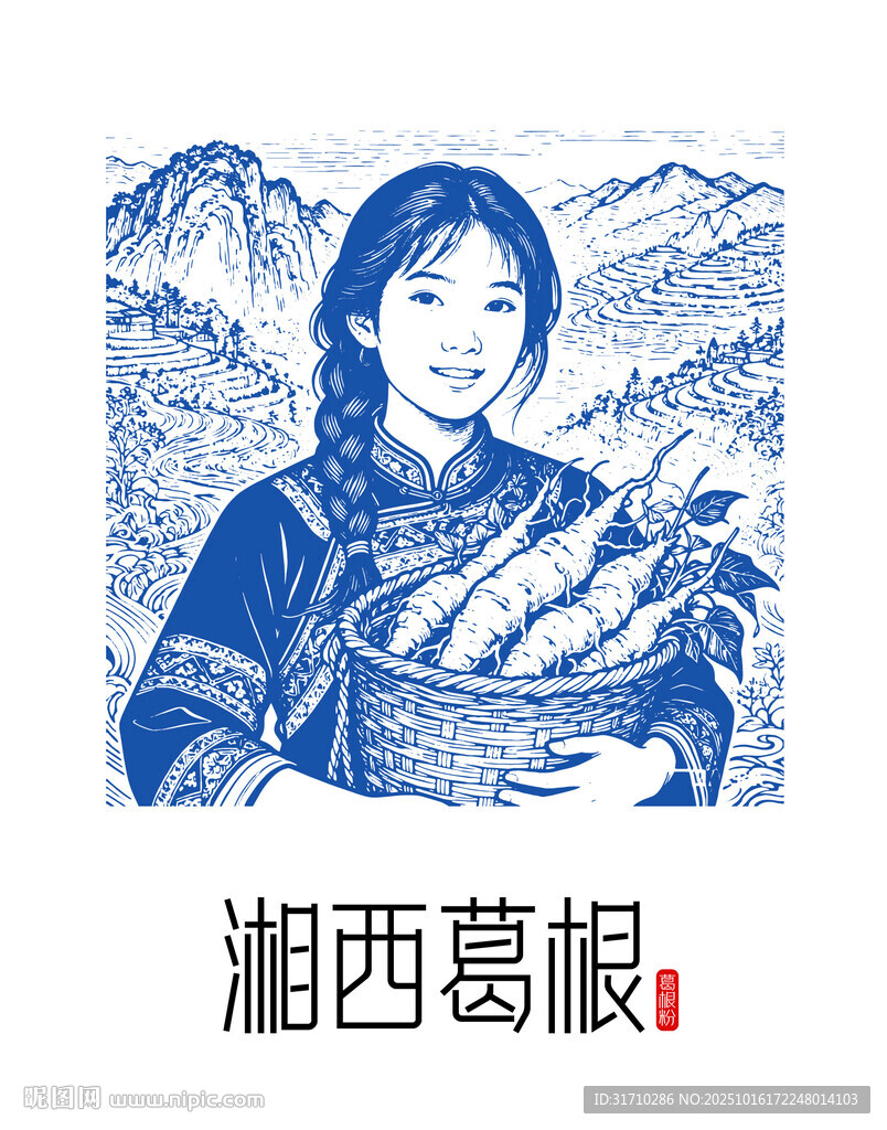 湘西葛根矢量图