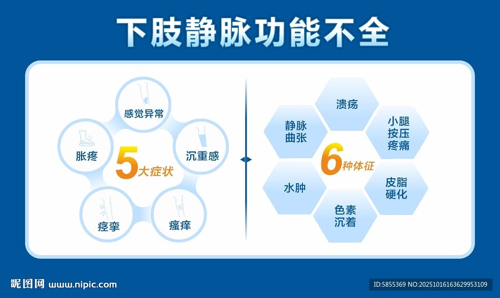 下肢静脉功能不全