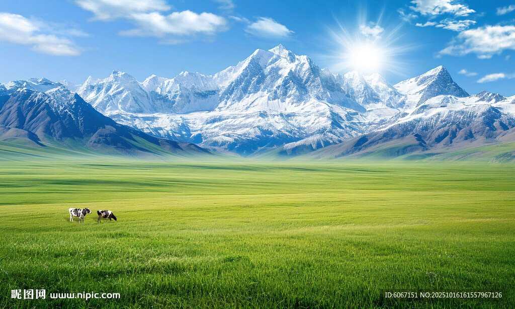 蓝天白云大草原