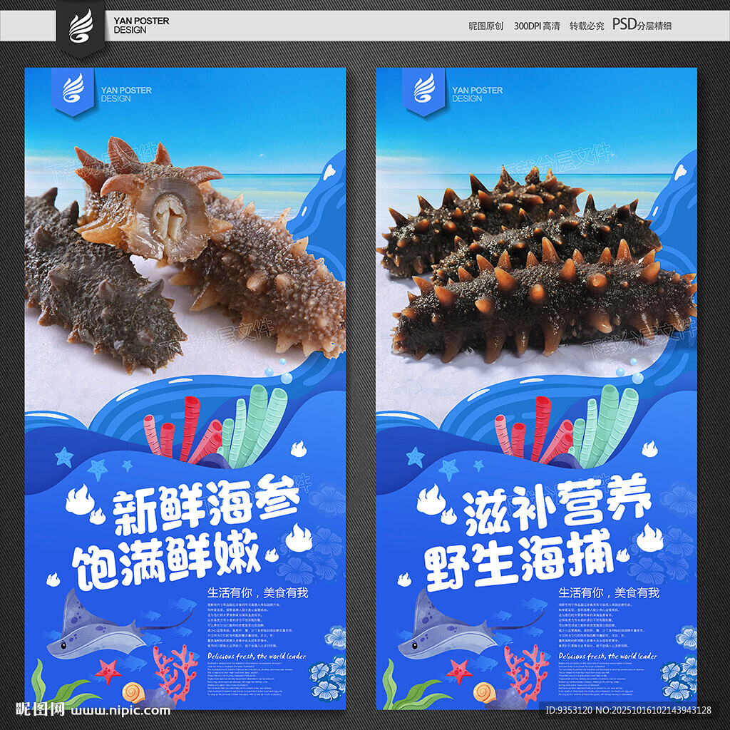海参