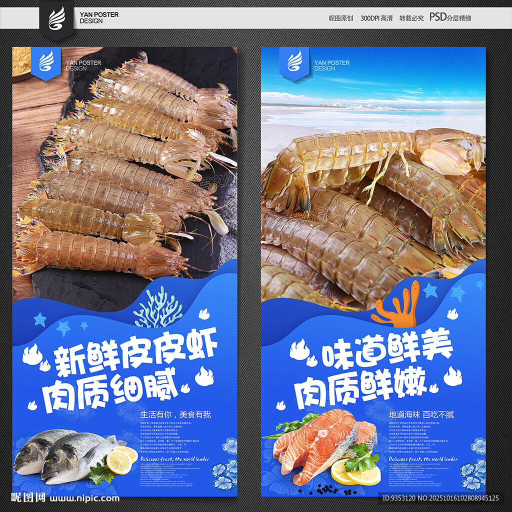 皮皮虾