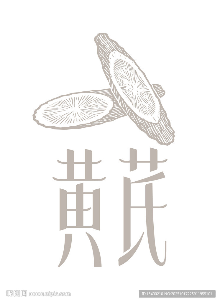 黄芪矢量素材