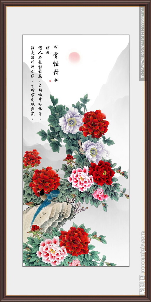 富贵牡丹