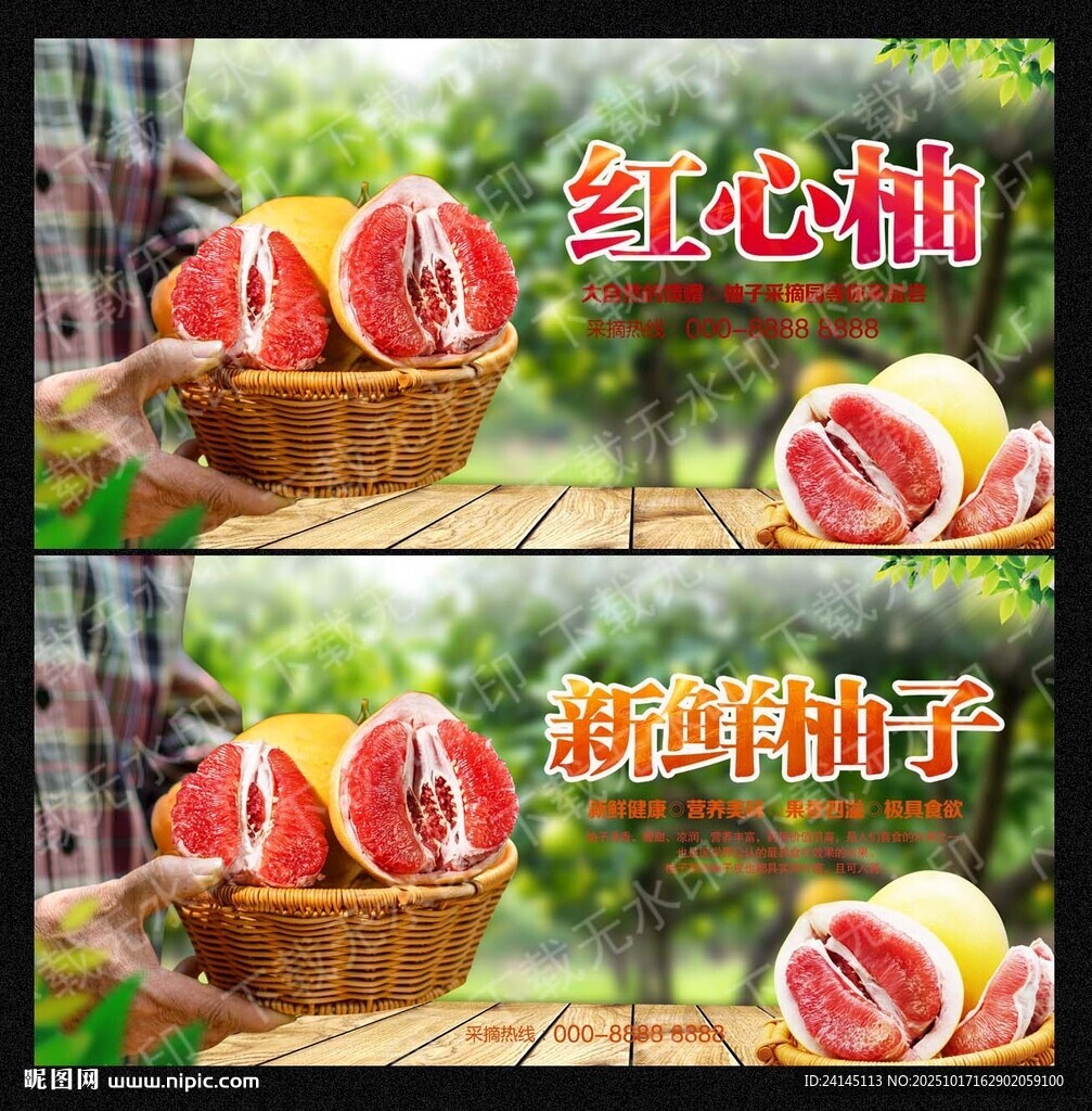 柚子
