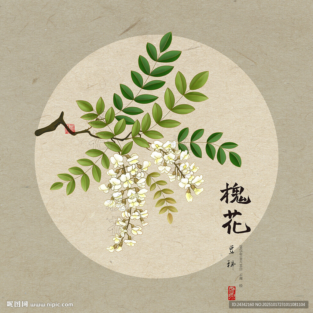 手绘槐花插画