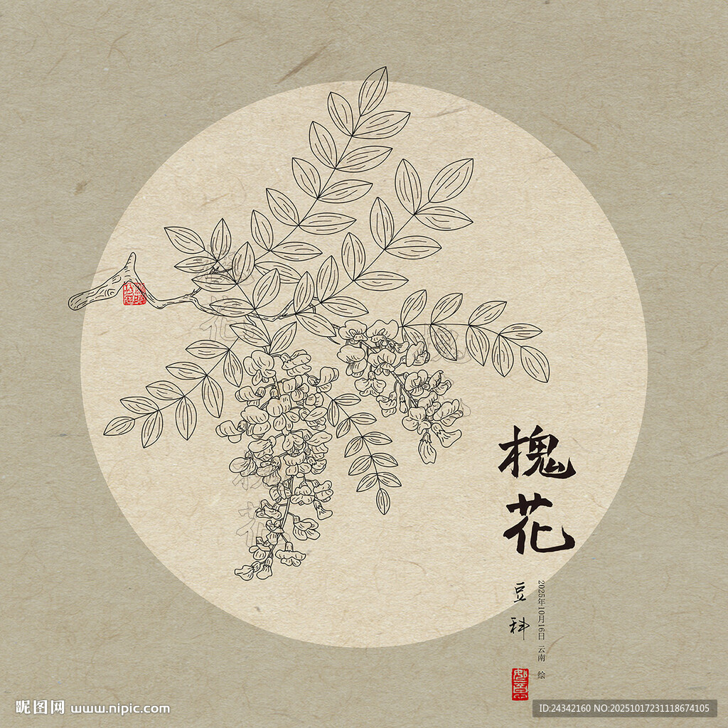 手绘槐花图