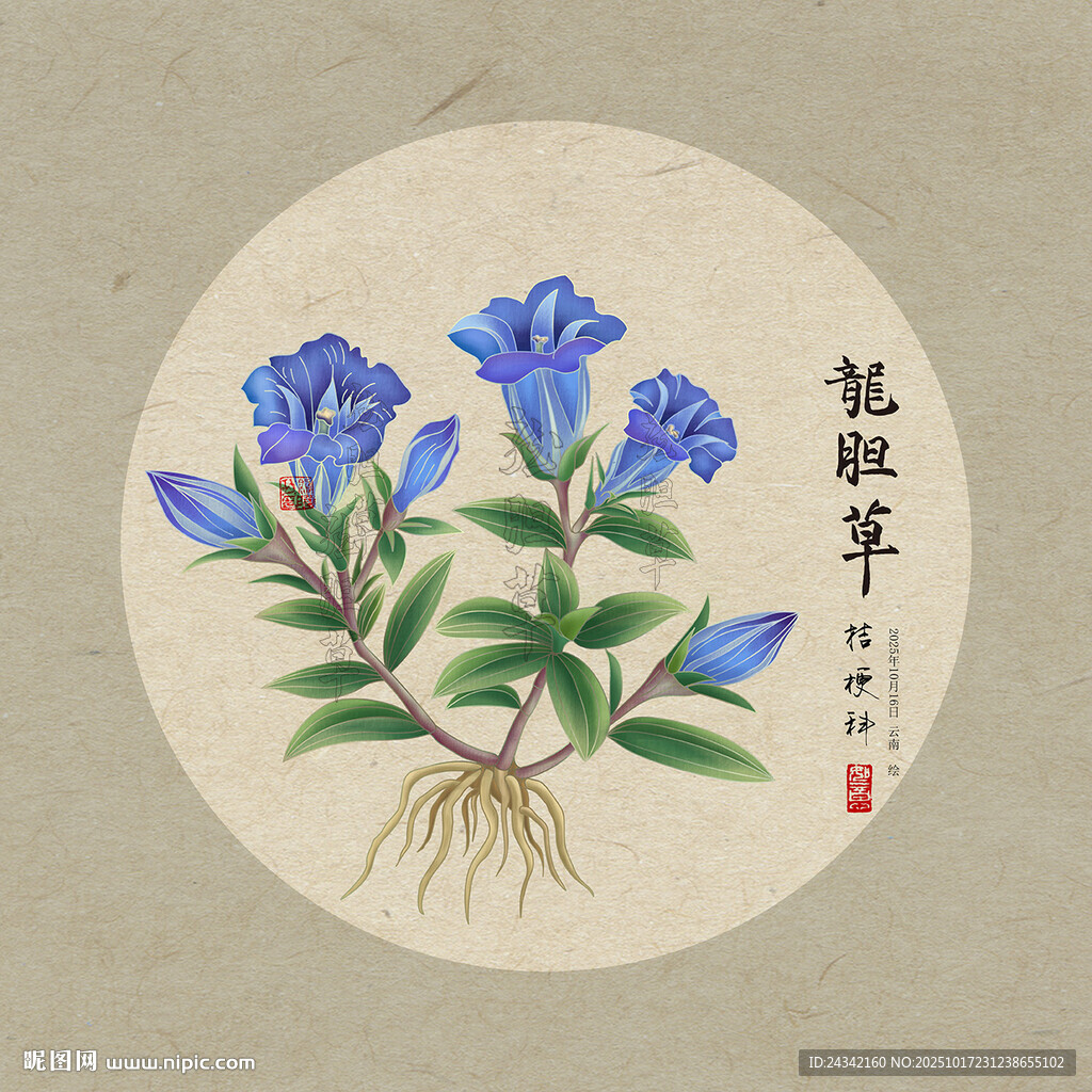 手绘龙胆草