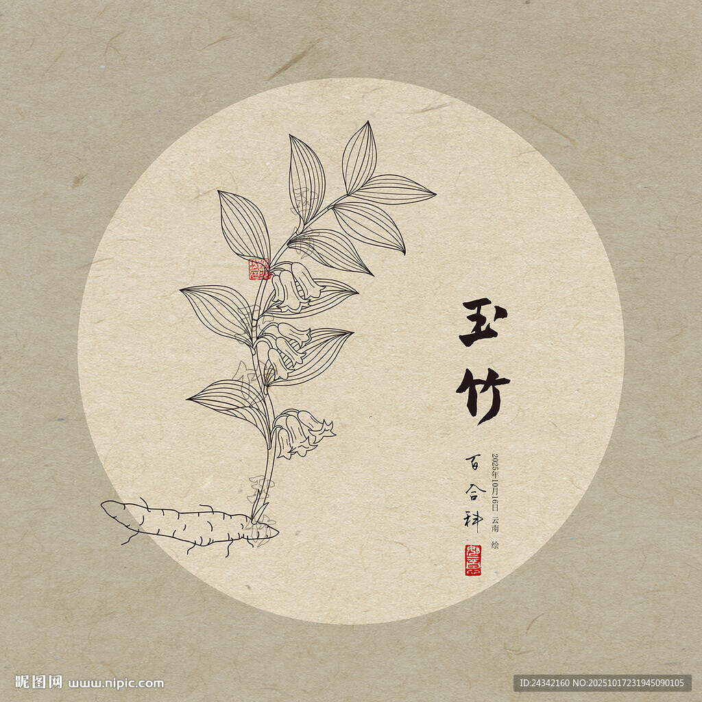 手绘玉竹