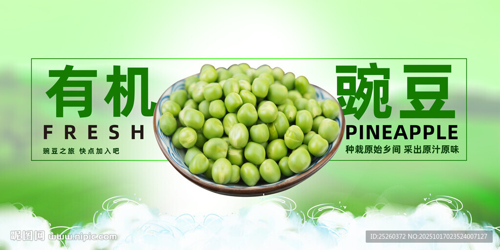 豌豆