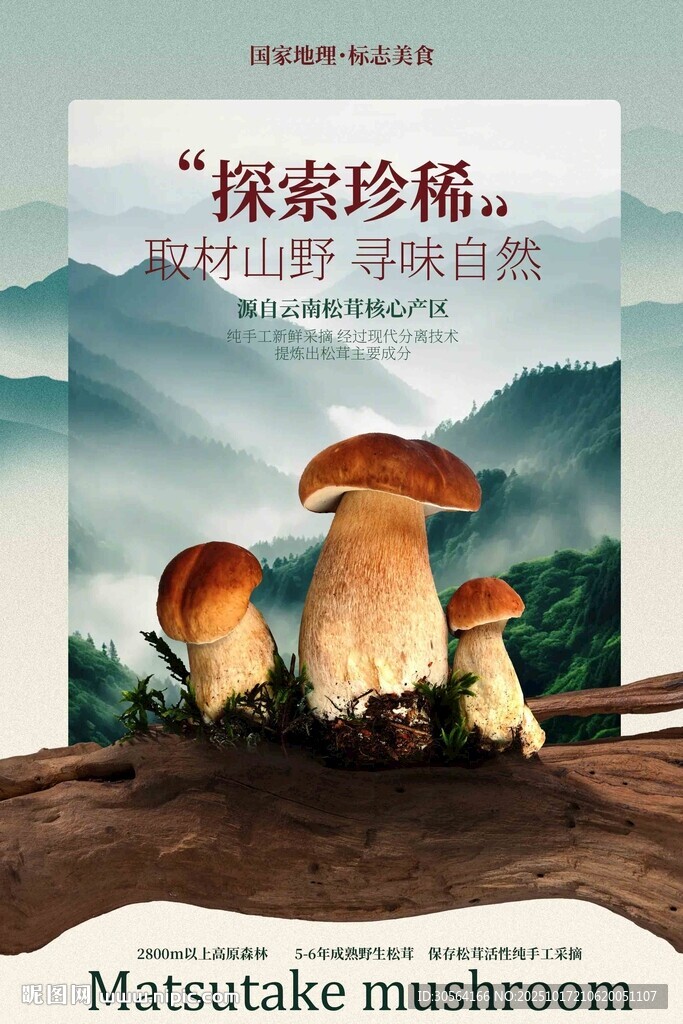 松茸菌美食宣传海报