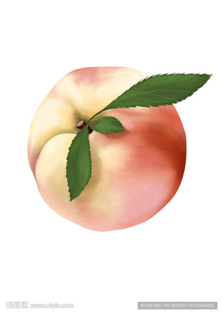 水蜜桃插画