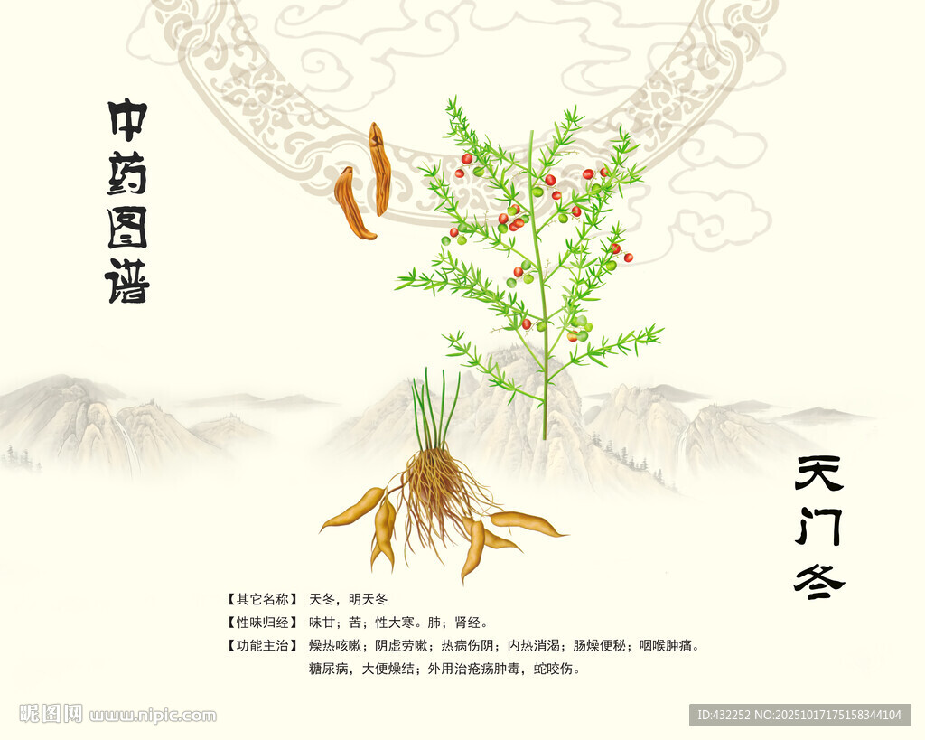 中药材天门冬天冬