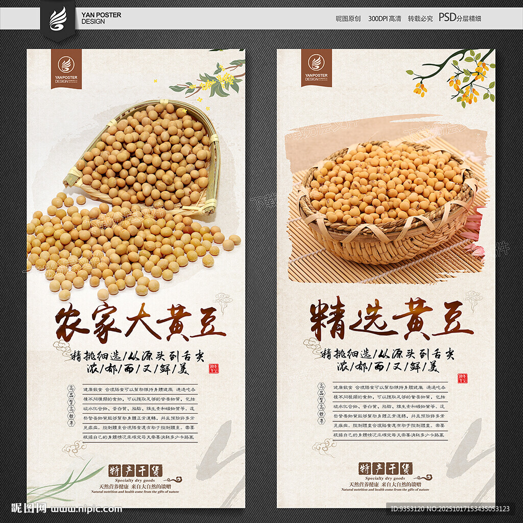 大豆