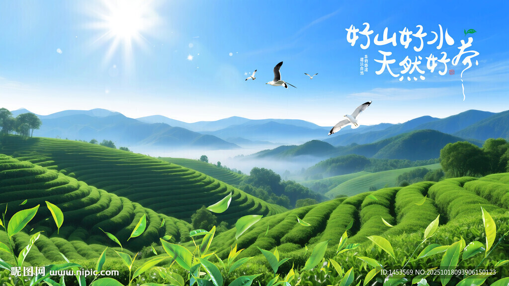茶山