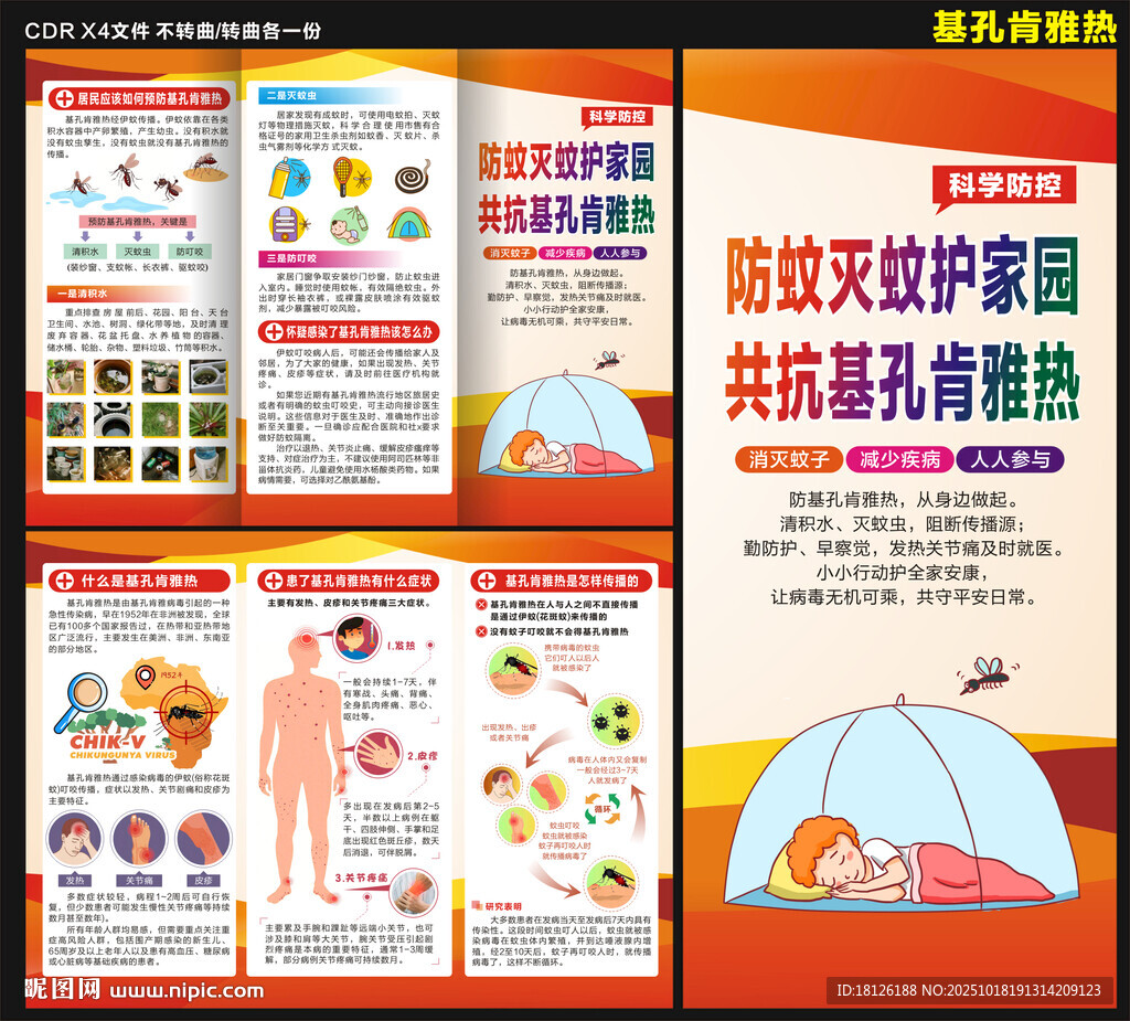 基孔肯雅热折页
